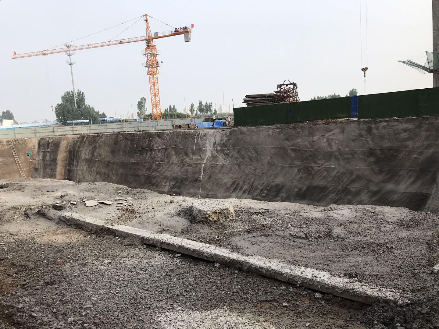 鵬洲麗城最新動態(tài)揭秘,小巷中的隱藏瑰寶