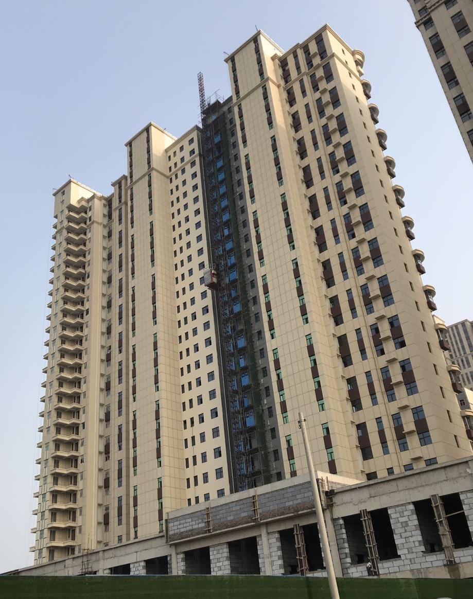 鵬洲麗城最新動態揭秘,小巷中的隱藏瑰寶