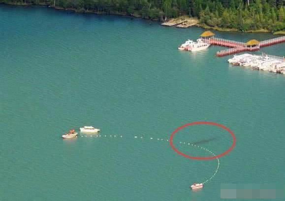 喀納斯湖水怪真相揭秘,探尋神秘之旅的心靈平靜之路