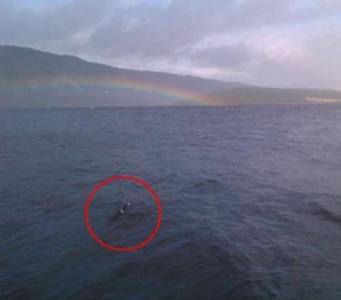 喀納斯湖水怪真相揭秘,探尋神秘之旅的心靈平靜之路