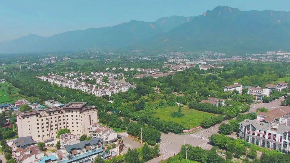 綿竹吧最新動態與消息匯總????