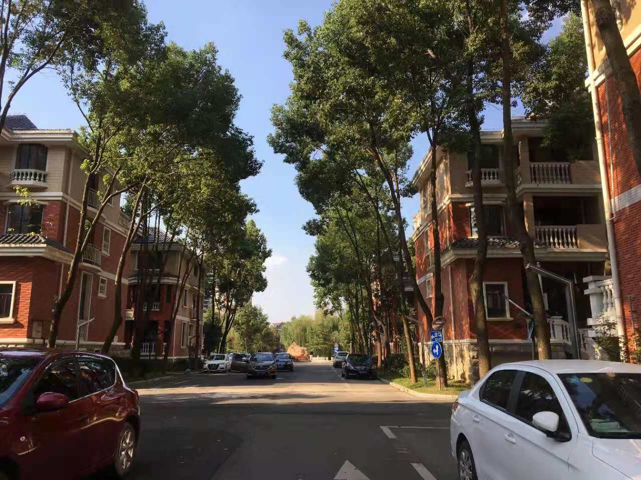 武漢卓峰地產最新動態揭秘,最新進展與動態更新