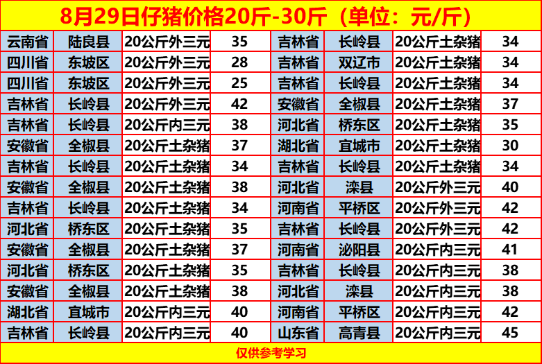 土雜豬最新價格動態，一場尋找內心平靜的旅程