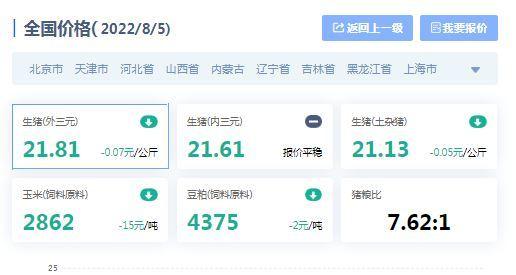 土雜豬最新價格動態,一場尋找內心平靜的旅程
