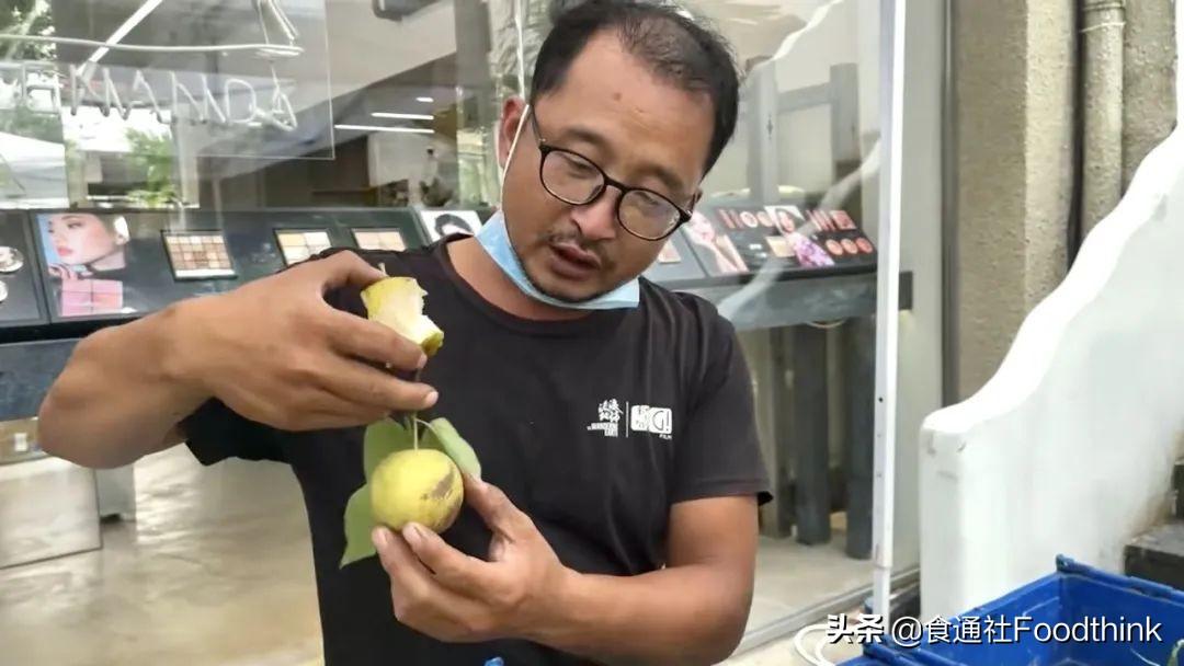 紈绔農民最新章節列表速遞