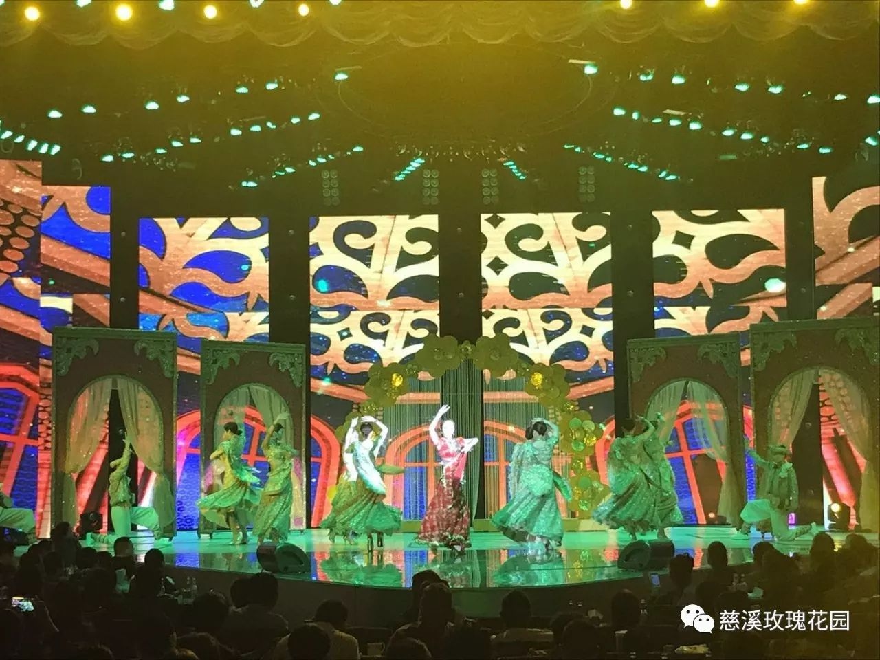 慈溪玫瑰花園最新視頻,綻放的玫瑰盛世美景