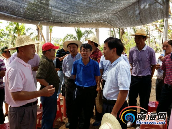 海南朱華友的最新動態,成就概覽與未來展望