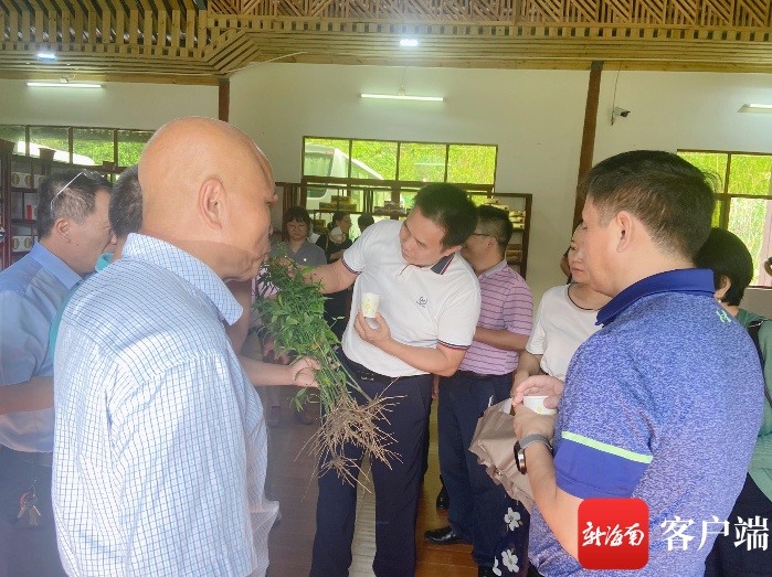 海南朱華友的最新動(dòng)態(tài),成就概覽與未來(lái)展望