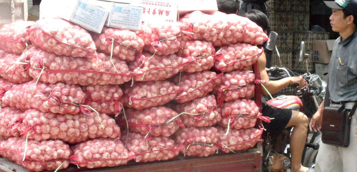 金鄉縣大蒜最新價格揭秘，小巷深處的蒜香寶藏