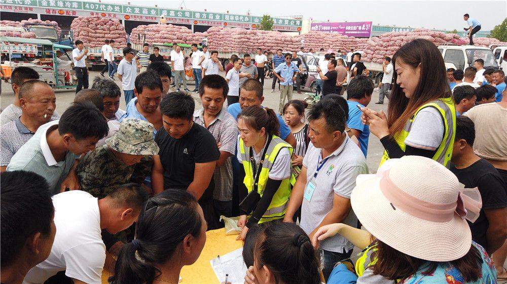 金鄉縣大蒜最新價格揭秘,小巷深處的蒜香寶藏