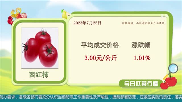 太原西紅柿最新批發(fā)價實時更新!