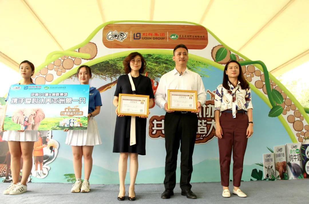 貿易公司起名大全最新,自然美景之旅與內心平靜的探索者