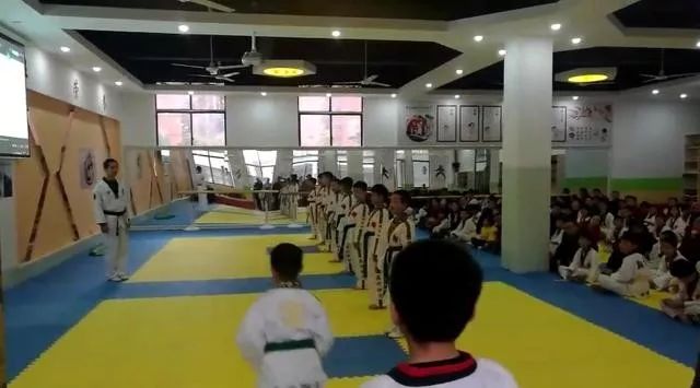 最新跆拳道上課流程,自信與成就感的源泉